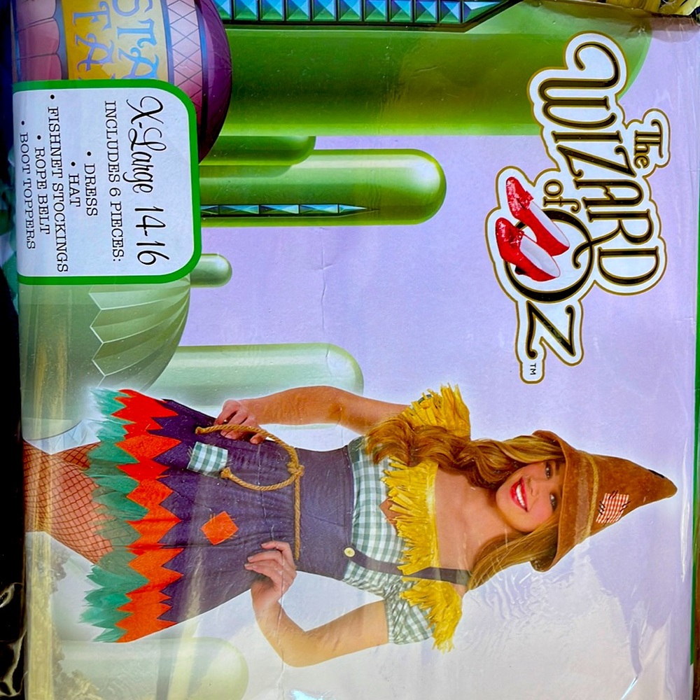 The Wizard of Oz Scarecrow costume